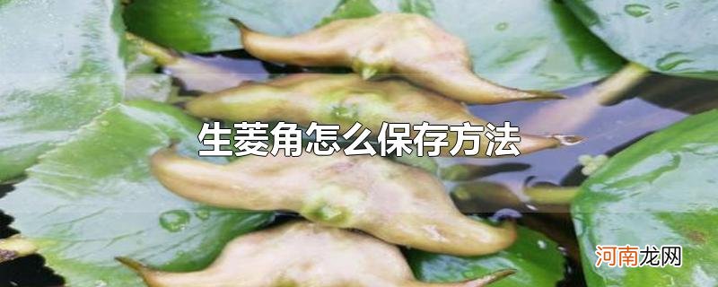 生菱角怎么保存方法