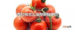 西红柿怎么保存新鲜不烂