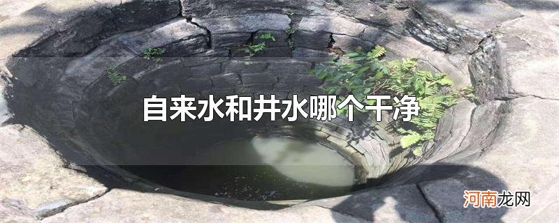 自来水和井水哪个干净