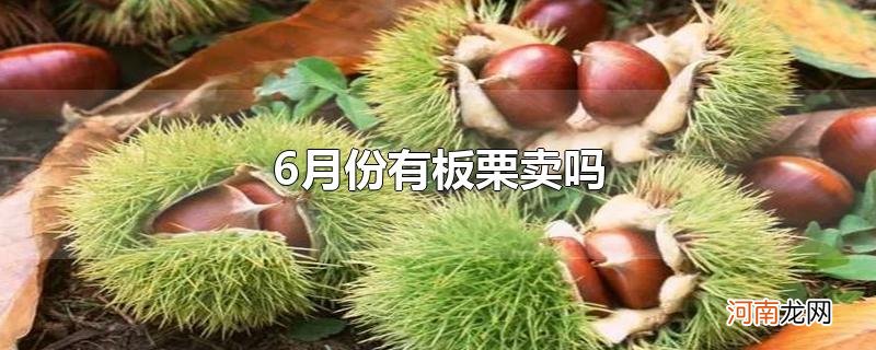 6月份有板栗卖吗