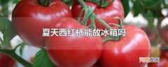 夏天西红柿能放冰箱吗