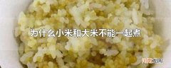 为什么小米和大米不能一起煮