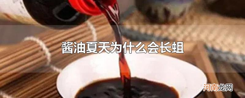 酱油夏天为什么会长蛆