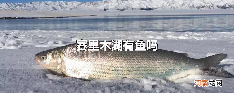 赛里木湖有鱼吗