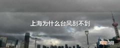上海为什么台风刮不到