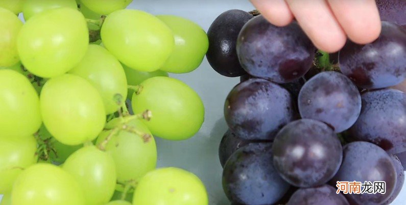 怎么区分葡萄和提子 葡萄和提子的区别有哪些
