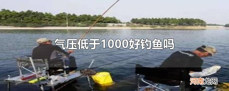 气压低于1000好钓鱼吗