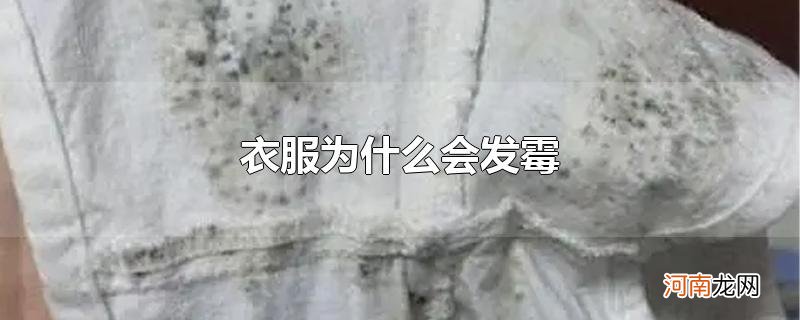 衣服为什么会发霉