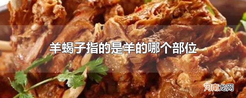 羊蝎子指的是羊的哪个部位