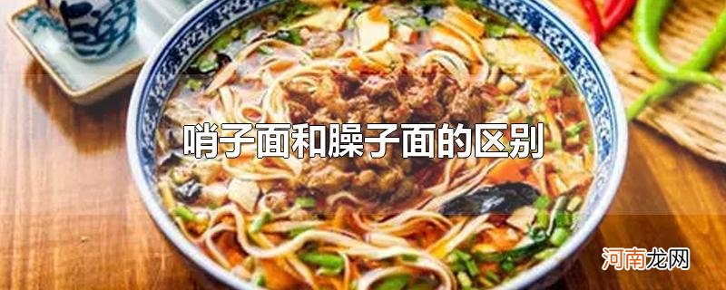 哨子面和臊子面的区别