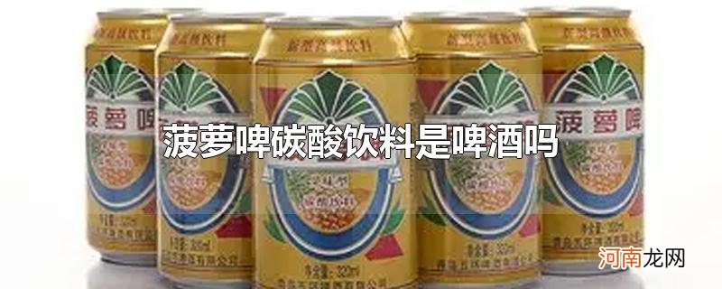 菠萝啤碳酸饮料是啤酒吗