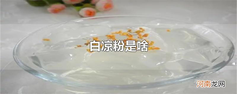 白凉粉是啥