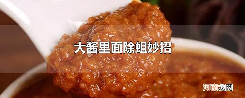 大酱里面除蛆妙招