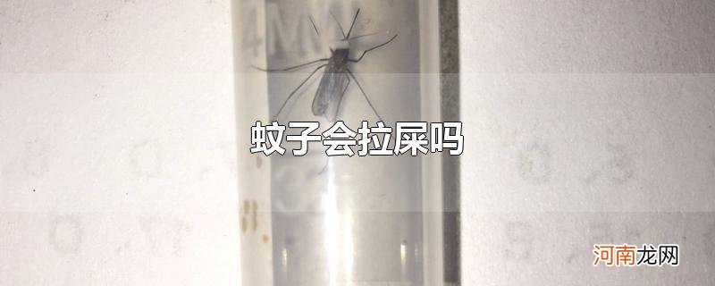 蚊子会拉屎吗