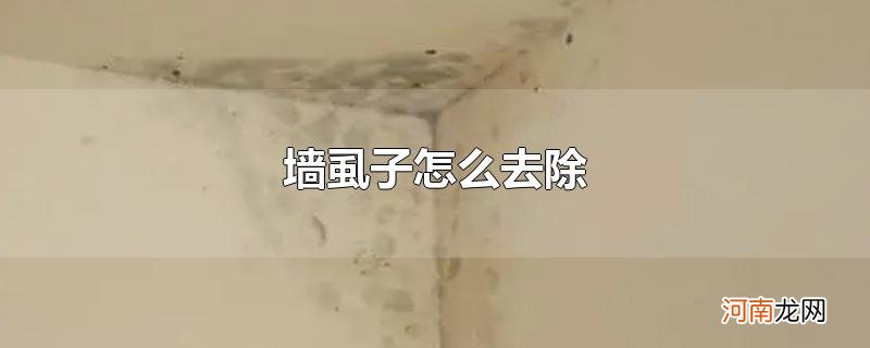 墙虱子怎么去除