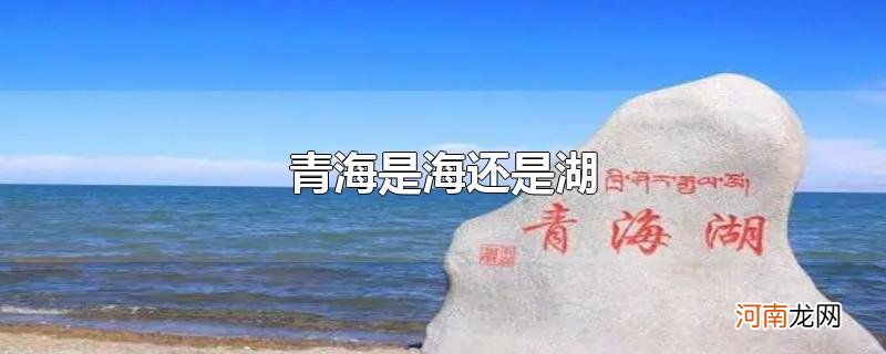 青海是海还是湖