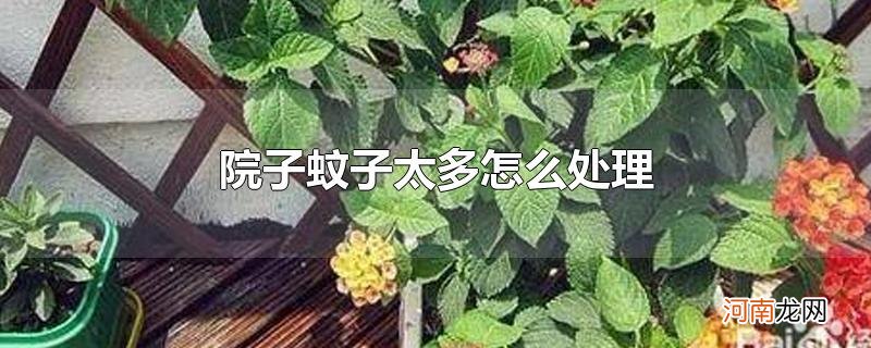 院子蚊子太多怎么处理