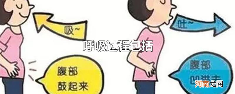 呼吸过程包括