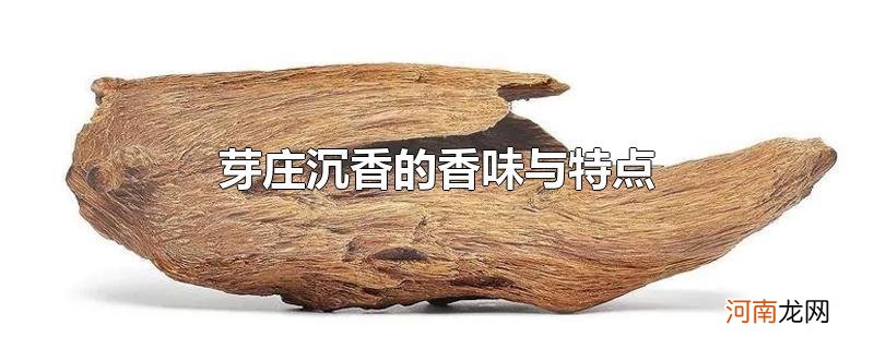 芽庄沉香的香味与特点