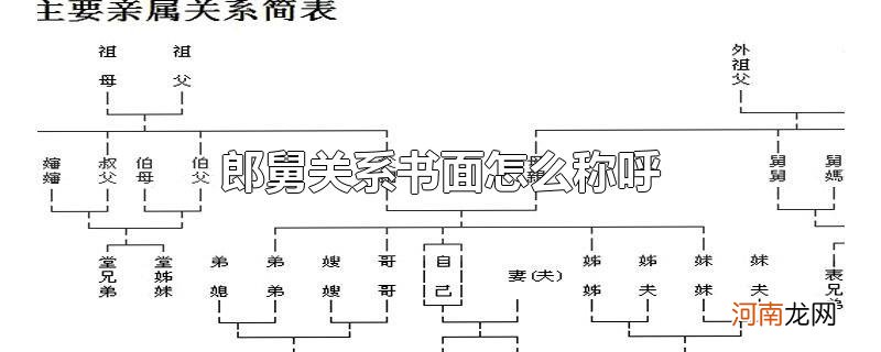 郎舅关系书面怎么称呼