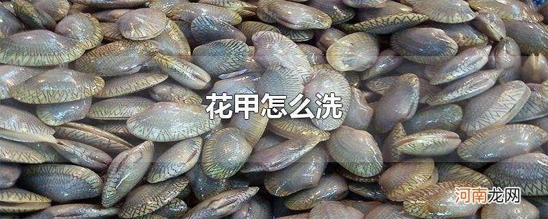 花甲怎么洗