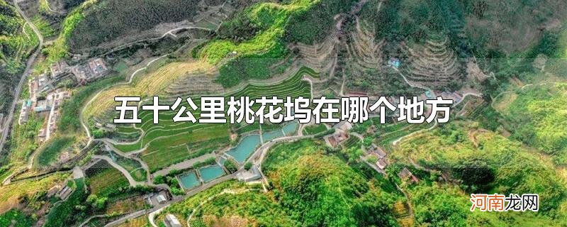 五十公里桃花坞在哪个地方