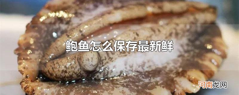 鲍鱼怎么保存最新鲜