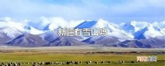 新疆有雪山吗