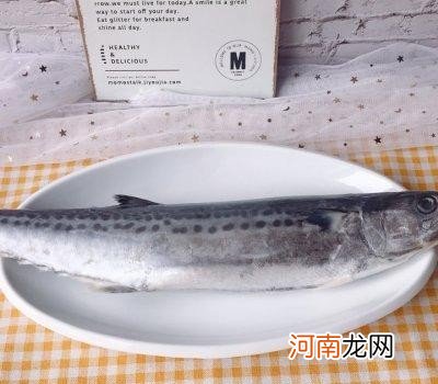 在家怎么做红烧鲅鱼方法推荐 红烧鲅鱼怎么做简单又好吃