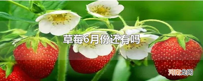 草莓6月份还有吗