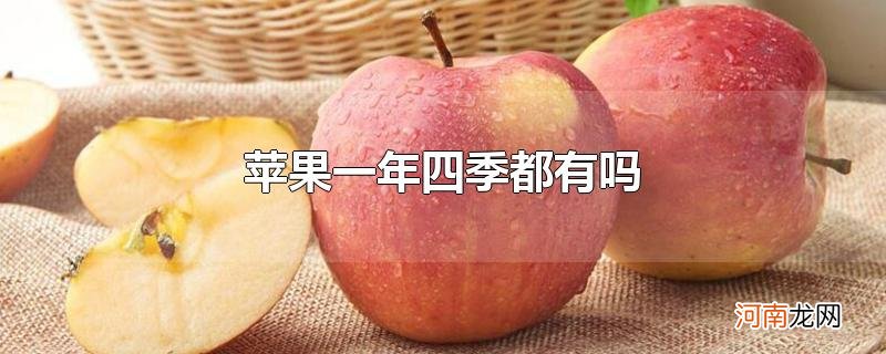 苹果一年四季都有吗