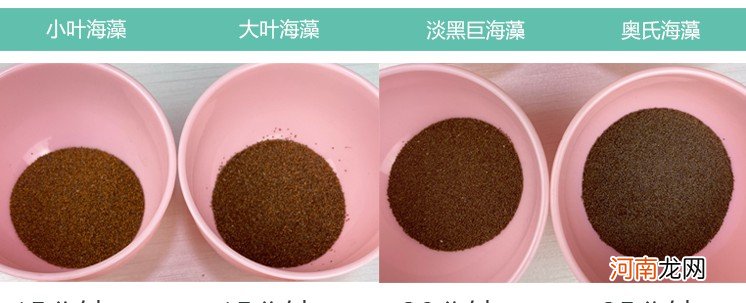 海藻面膜的功效和作用 海藻面膜敷多久才有效