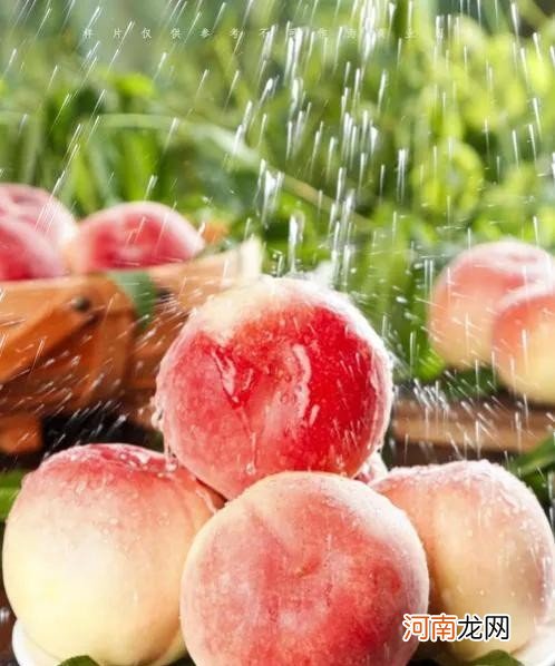 水蜜桃的基本介绍 水蜜桃的营养价值有哪些