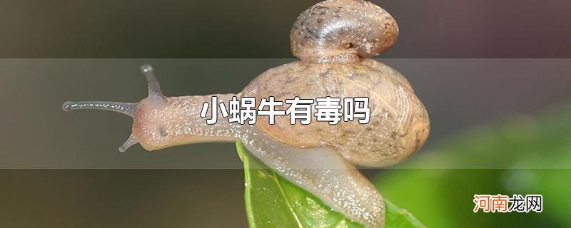 小蜗牛有毒吗