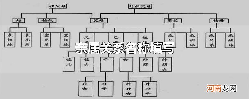 亲属关系名称填写