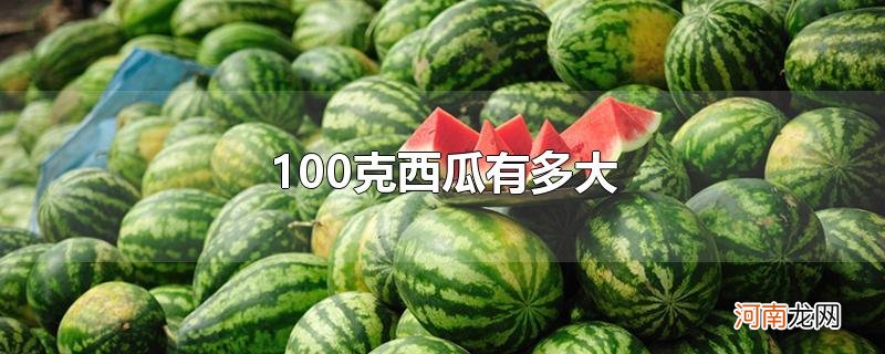 100克西瓜有多大