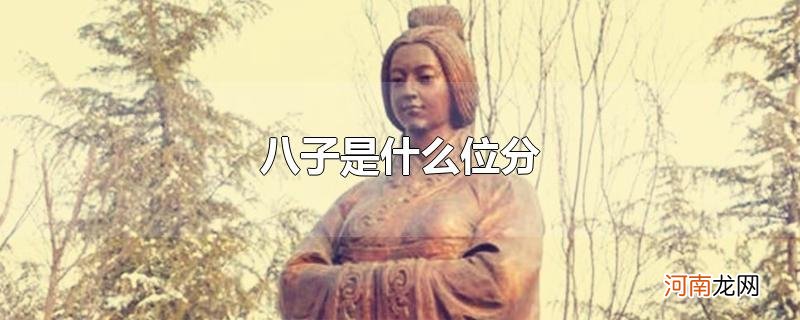 八子是什么位分