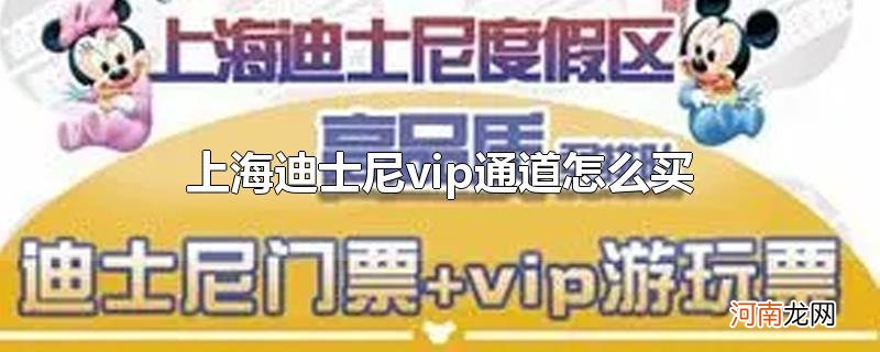 上海迪士尼vip通道怎么买