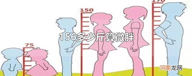 156多少斤算微胖