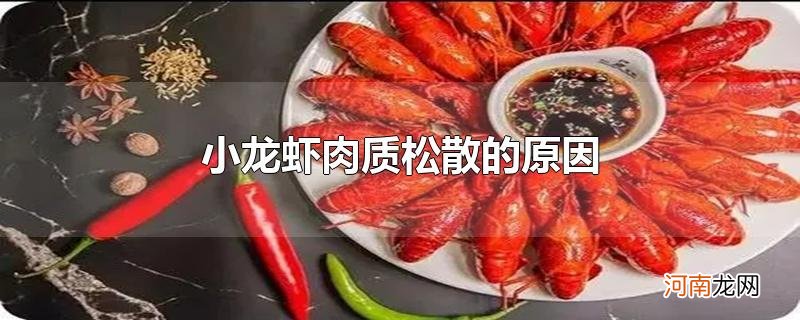 小龙虾肉质松散的原因