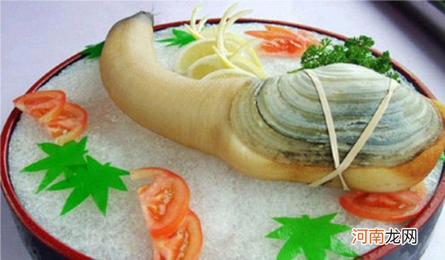 十大美味贝类海鲜大全 常吃的贝类海鲜有哪些