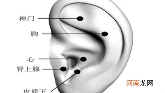 耳部神门的准确位置 耳部神门的按压方法有哪些