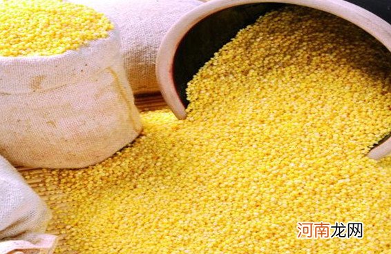 产生黄曲霉毒素 小米过期了还能吃吗？不能，会发生霉变