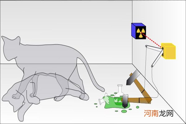薛定谔的猫的恐怖之处 薛定谔为什么会提出猫的实验
