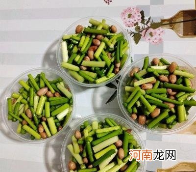 在家怎么自己腌蒜苔好吃 蒜苔的腌制方法步骤