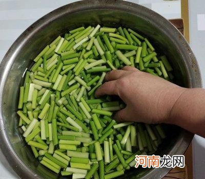 在家怎么自己腌蒜苔好吃 蒜苔的腌制方法步骤