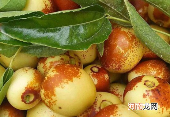 两种食物不相克 冬枣和芒果可以一起吃吗 可以