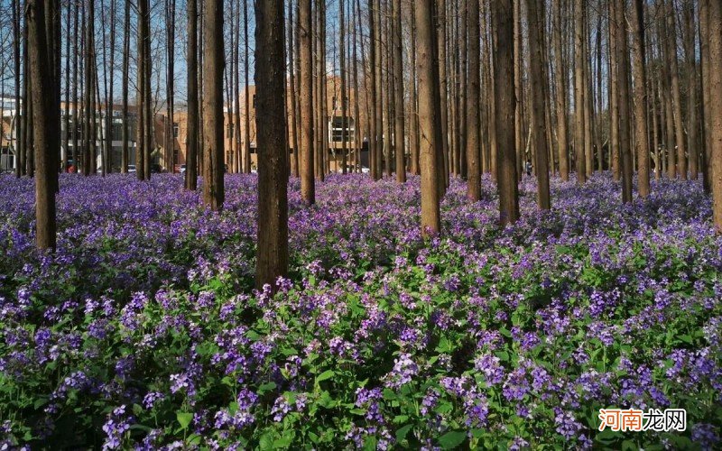 3月份最值得去的10个地方 3月去哪里旅游最好