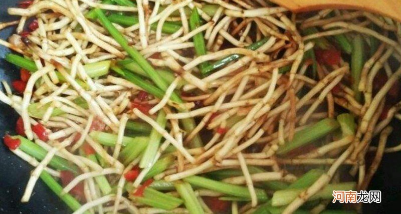 在家怎么做出下饭美味的折耳根 鱼腥草怎么吃好吃