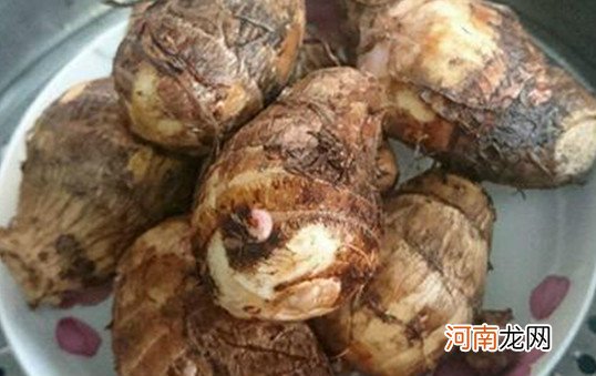 伤风感冒 芋艿的禁忌是什么 哪些人不要食用芋艿